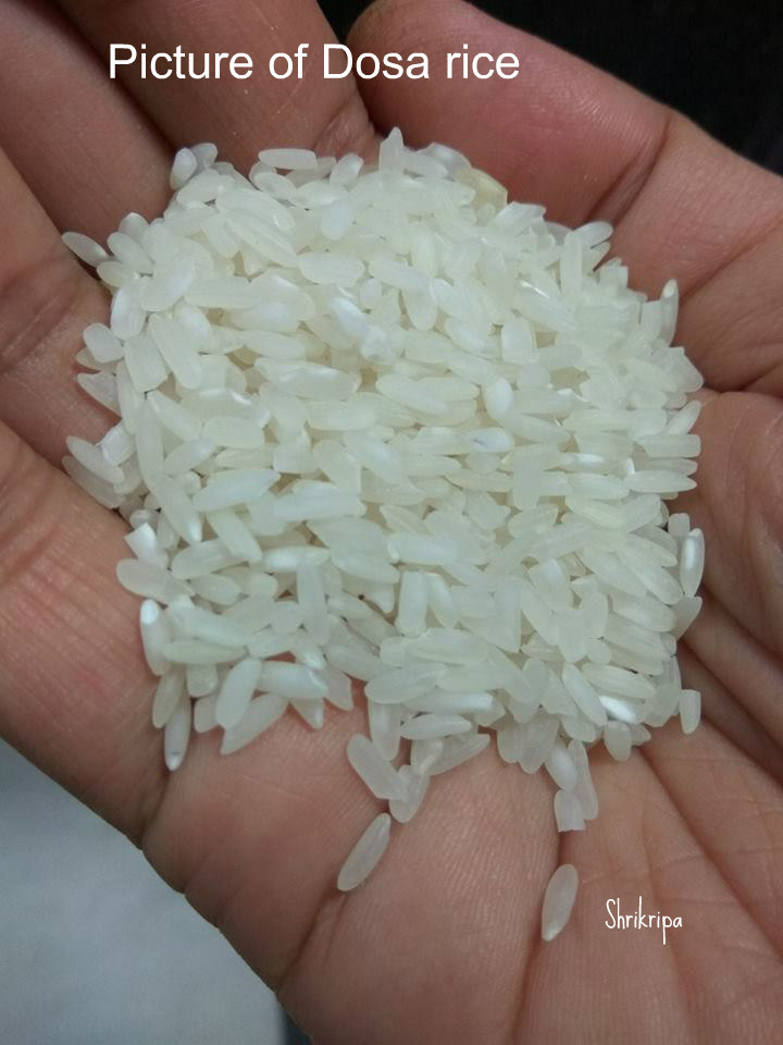 dosa rice
